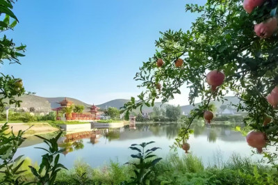 សមាហរណកម្មនៃតំបន់ដីសណ្តទន្លេយ៉ង់សេជំរុញការផ្លាស់ប្តូររូបមន្តអភិវឌ្ឍន៍ក្នុងតំបន់