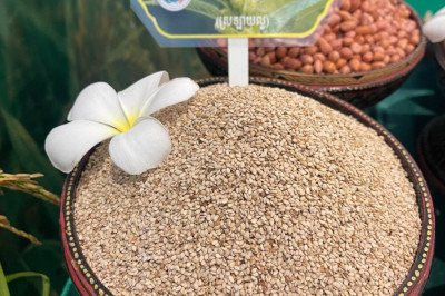 ក្នុងរយៈពេល ៦ខែនៃឆ្នាំ២០២៥ កម្ពុជា ទទួលបានចំណូល ២៨៣.៤១លានដុល្លារ ពីការនាំចេញអង្ករទៅកាន់ទីផ្សារអន្តរជាតិ