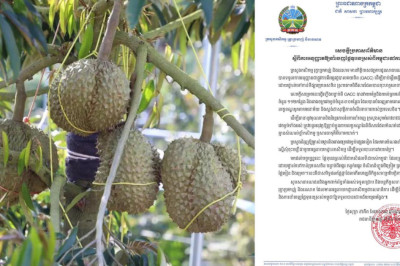 ប្រទេសកម្ពុជាទទួលបានការអនុញ្ញាតជាផ្លូវក្នុងការនាំផ្លែទុរេនស្រស់ទៅកាន់ប្រទេសចិន