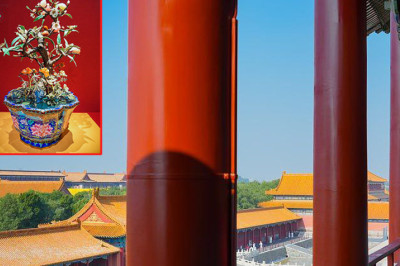 លោក Xi Jinping អញ្ជើញទស្សនាពិព័រណ៍ស្តីពី “ការអភិរក្សមួយរយឆ្នាំ៖ ពីក្រុងហាមឃាត់ដល់សារមន្ទីរវាំងចាស់”